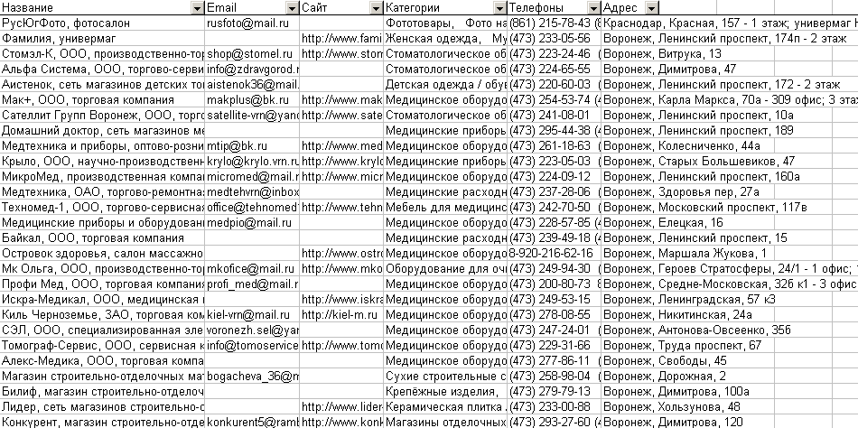 Скриншот базы данных организаций Воронежа