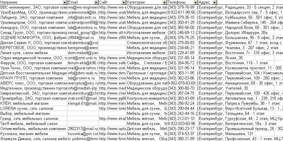 Скриншот базы данных организаций Екатеринбурга