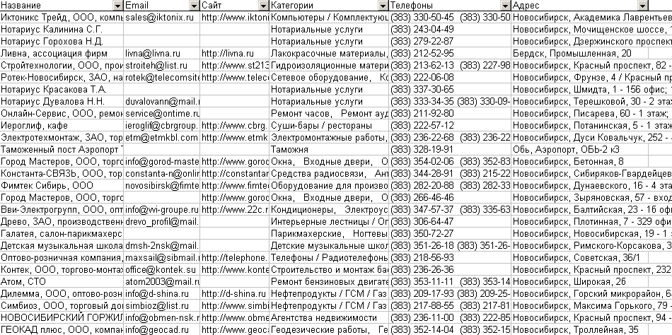 Скриншот базы данных организаций Новосибирска