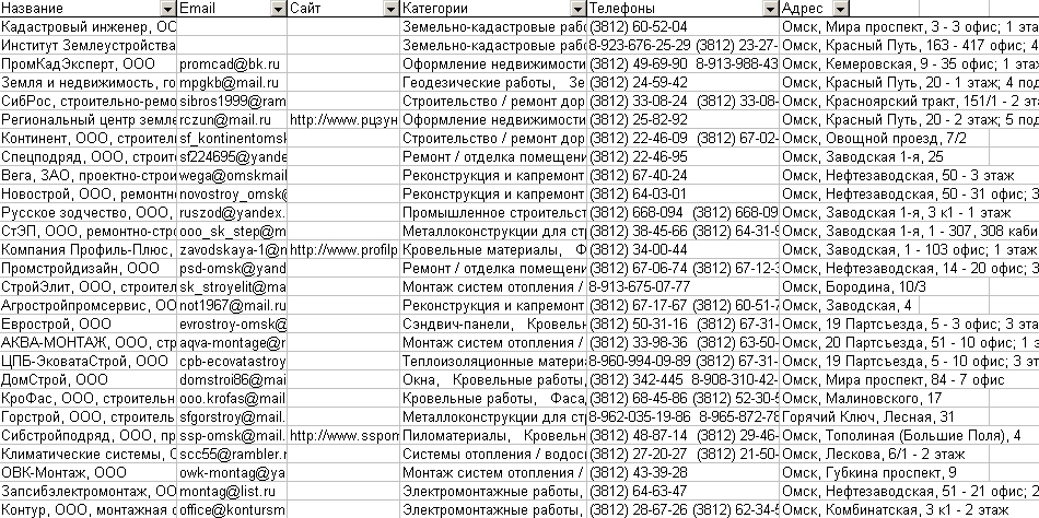 Скриншот базы данных организаций Омска