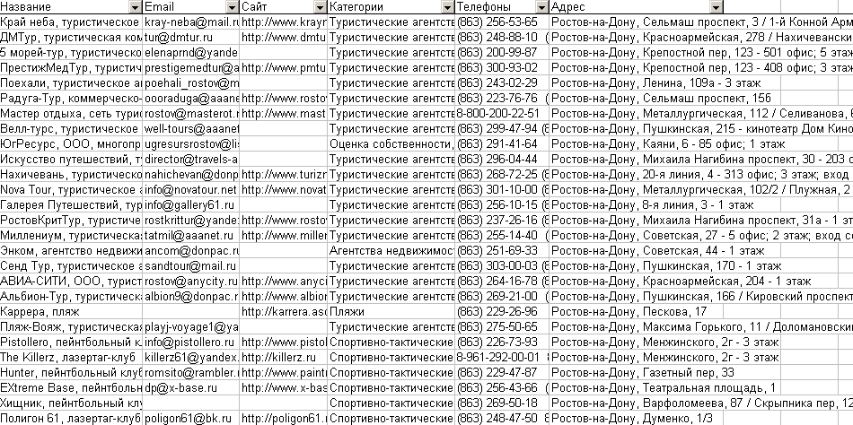 Скриншот базы данных организаций Ростова-на-Дону