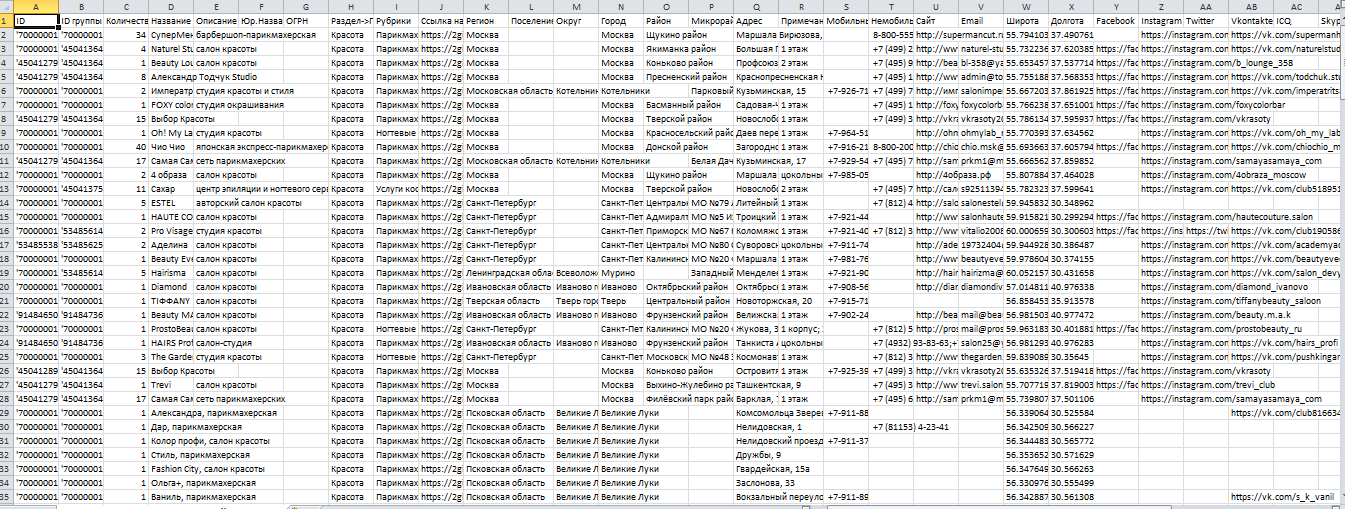 Файл Excel с данными об организациях из 2ГИС